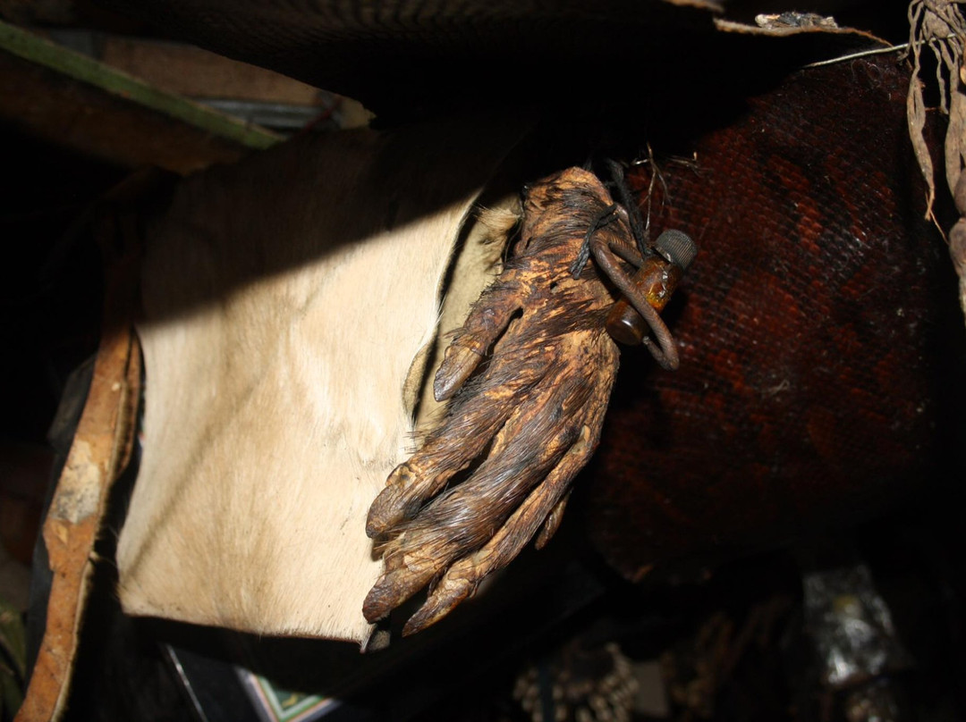 Sam's Cultural Tours-开普敦中心区必去景点