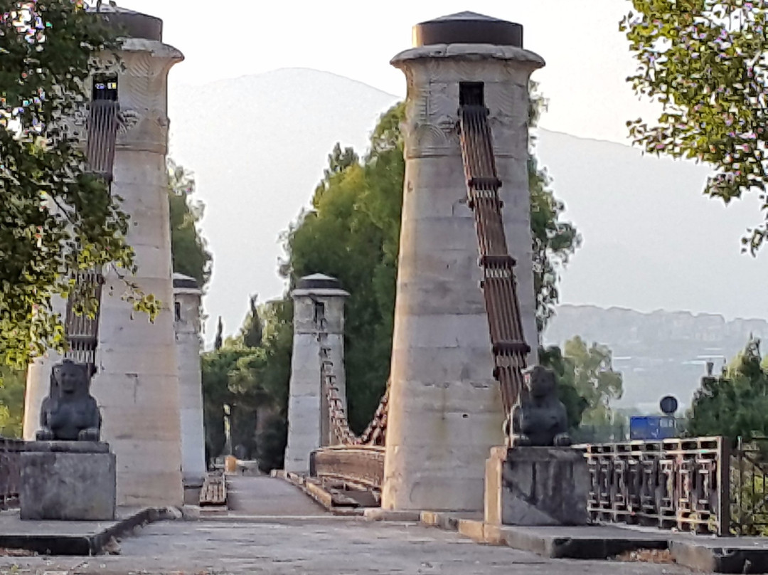 Ponte Borbonico景点图片