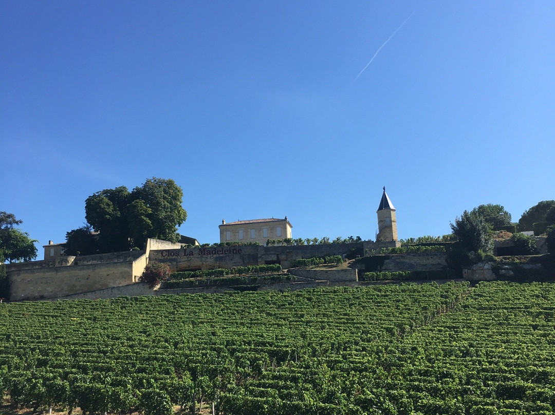 Clos La Madeleine-圣埃美隆必去景点