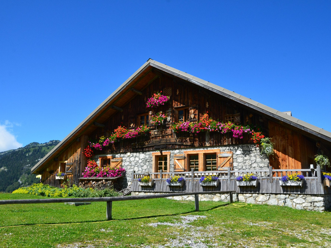 Dingy-Saint-Clair餐馆和美食-Notre Dame des Neiges