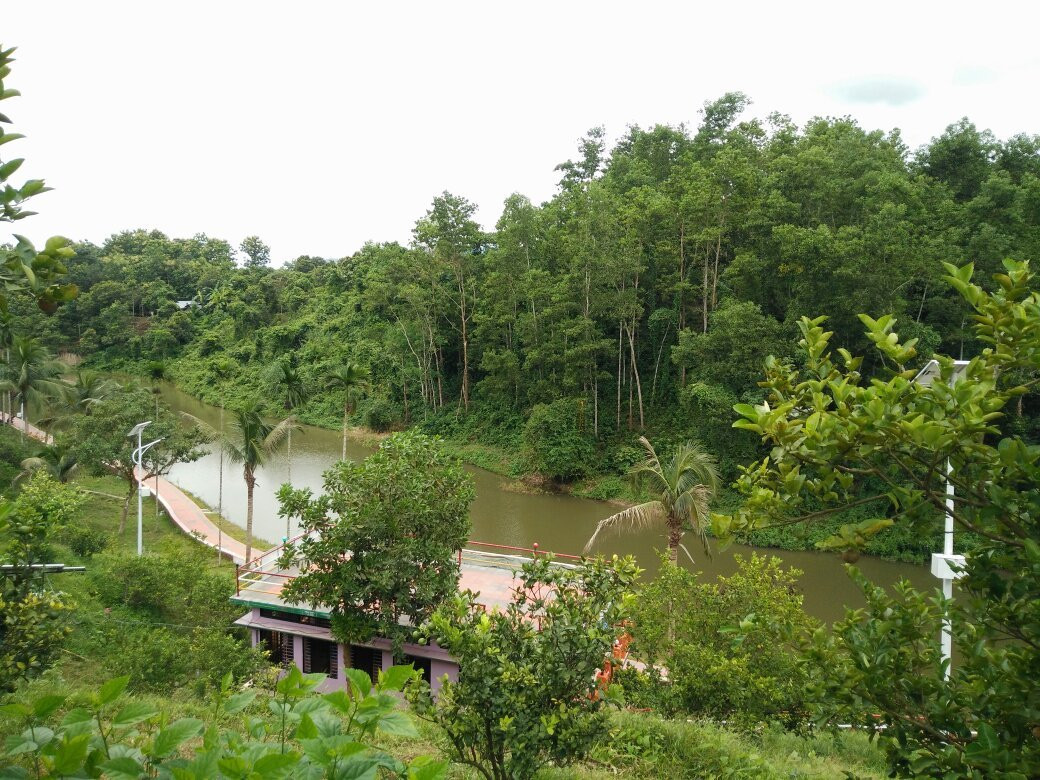 Hanging Bridge景点图片