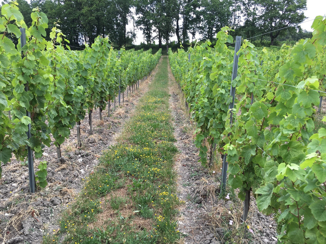 Chateau Cluzeau-Sigoules-et-Flaugeac必去景点