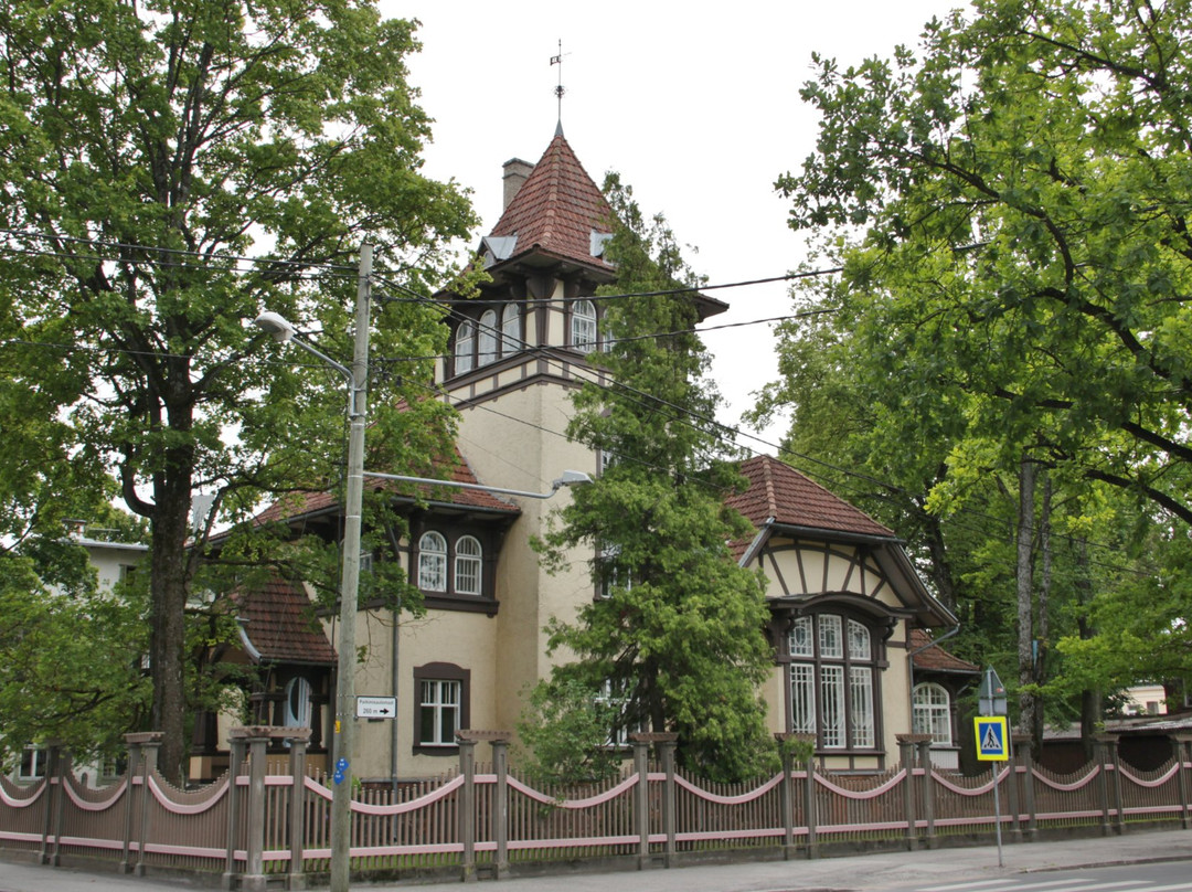 Tartu Saksa Kultuuri Instituut-塔尔图必去景点