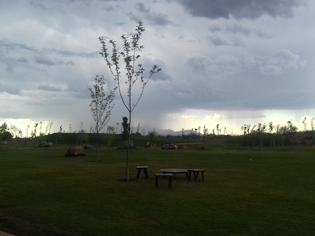 City Express By Marriott Cananea主图