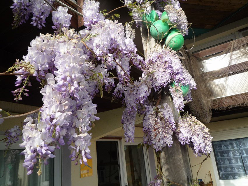 Ouest Decouvertes Crozon主图