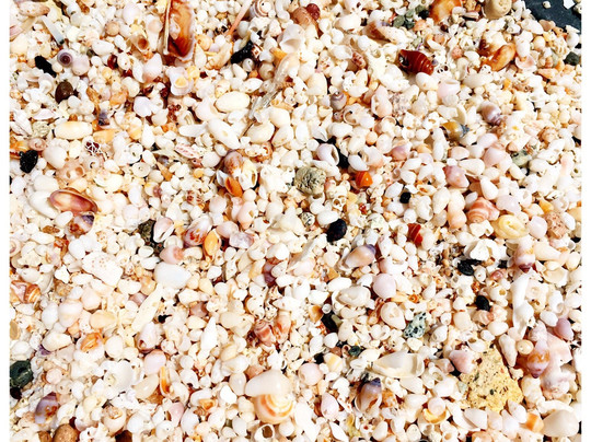 Cretan Daily Cruises-Ierapetra必去景点