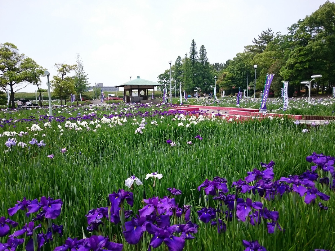 Aburagafuchi Yuenchi景点图片