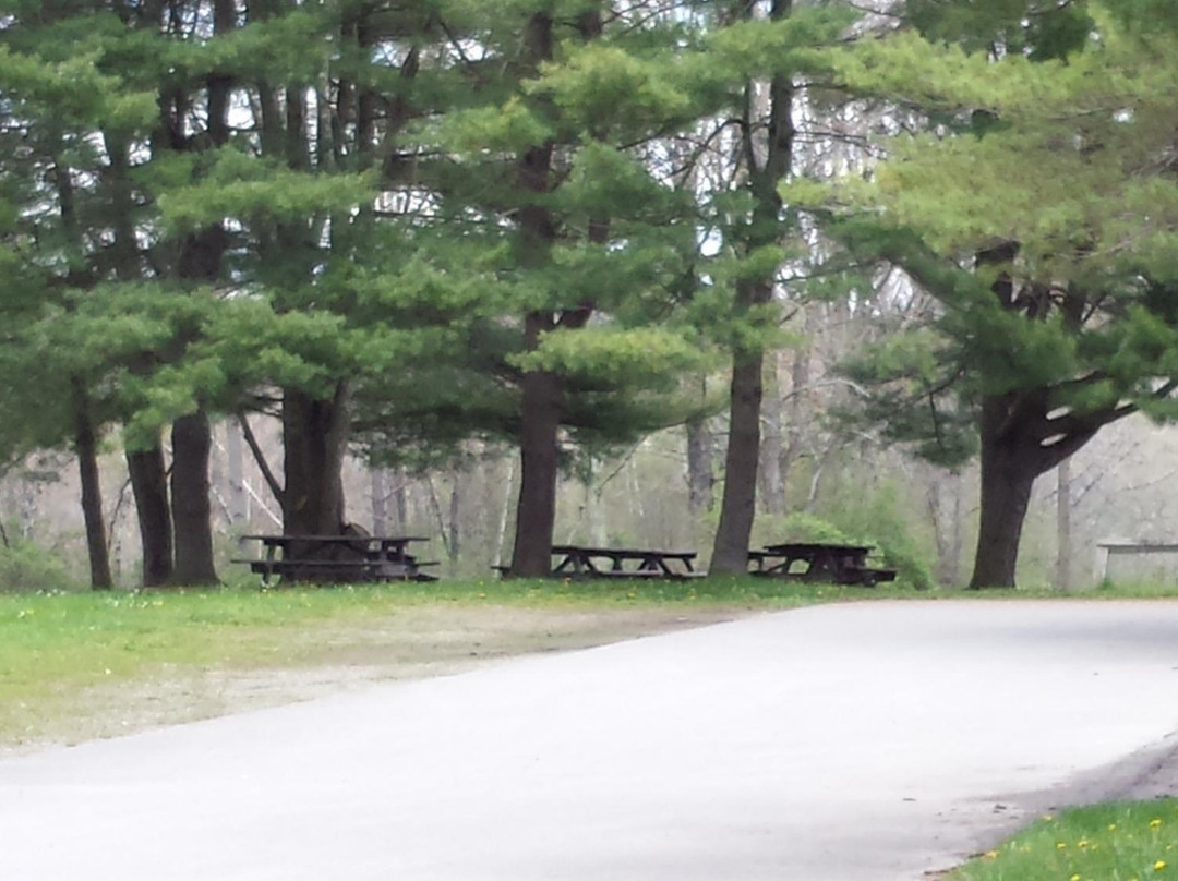 Lackawanna State Park景点图片