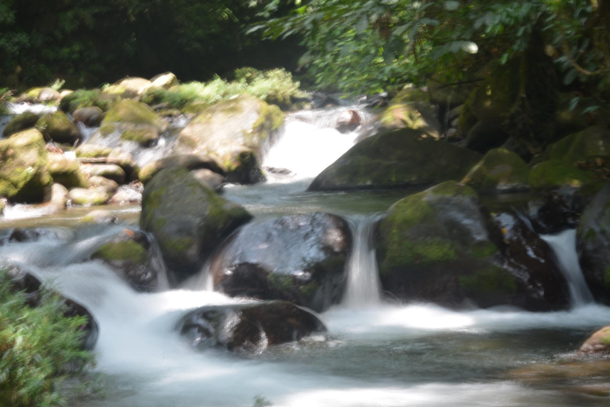 Finca Isla Wellness Retreat-酒店景观