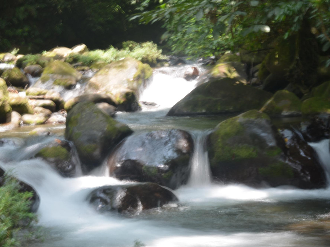 Finca Isla Wellness Retreat主图