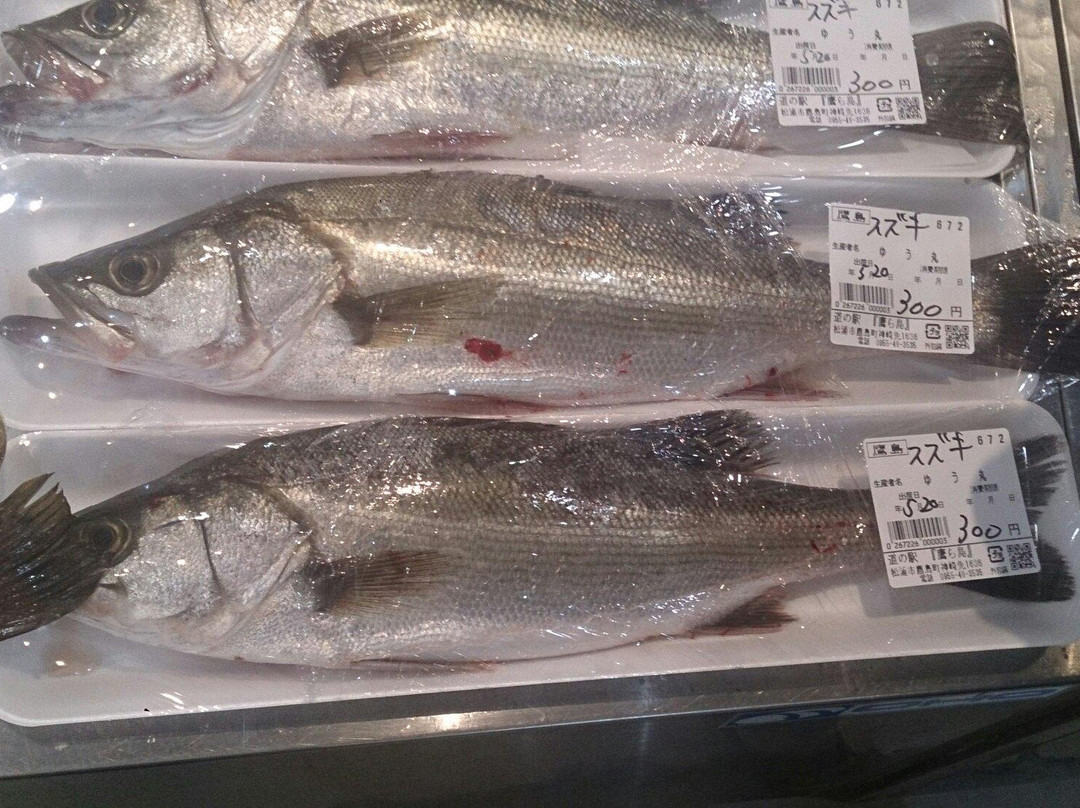 Michi-no-Eki Takarajima-松浦市必去景点