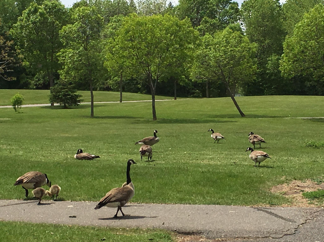 Beaver Islands Trail-Saint Cloud必去景点