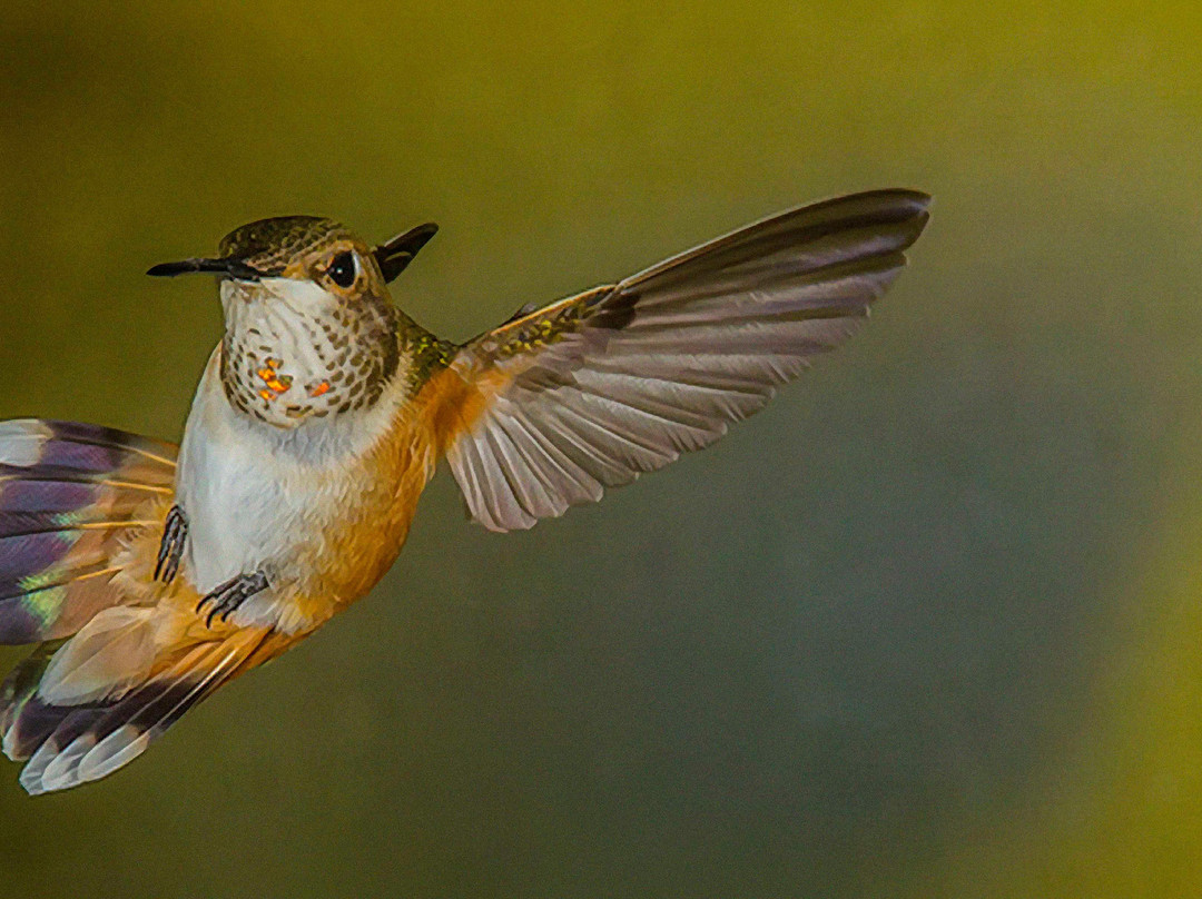 Southwest Photo Tours by Bob Ayre - Tours-Moriarty必去景点