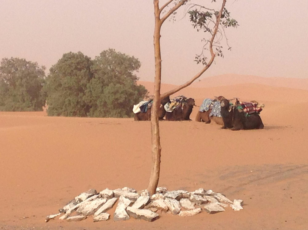 Sahara En Marruecos - Day Trip-梅如卡必去景点