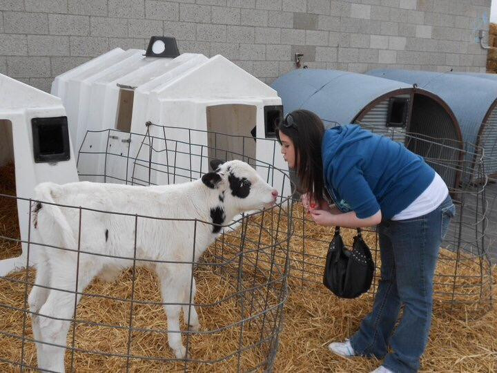 Cook's Farm Dairy-Ortonville必去景点