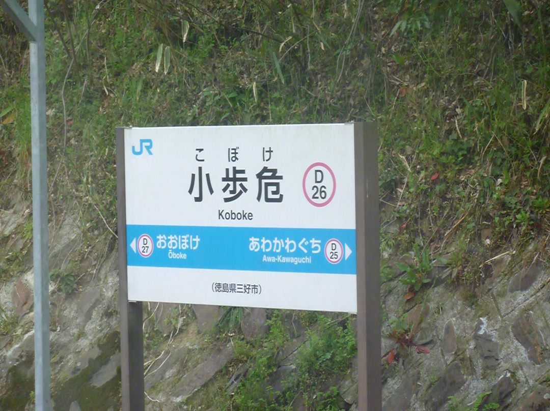 Kobokekyo Canyon-三好市必去景点