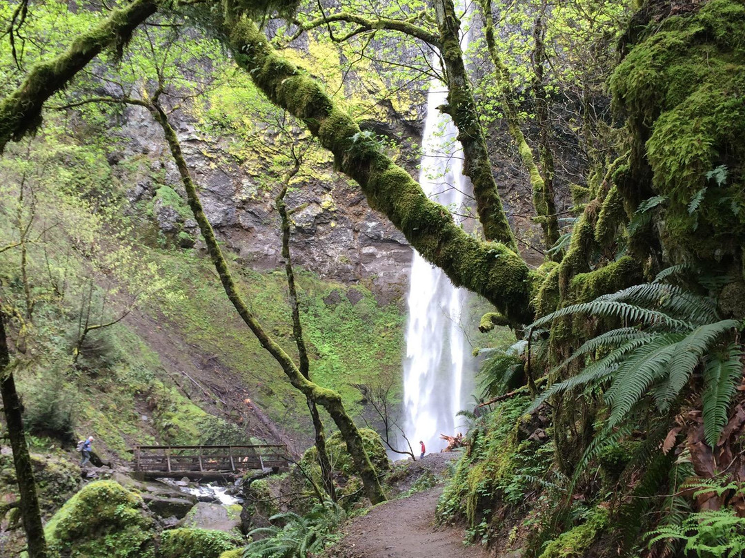 Elowah Falls-Cascade Locks必去景点