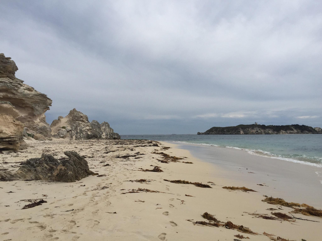 Margaret River Nature Tours-玛格丽特河必去景点