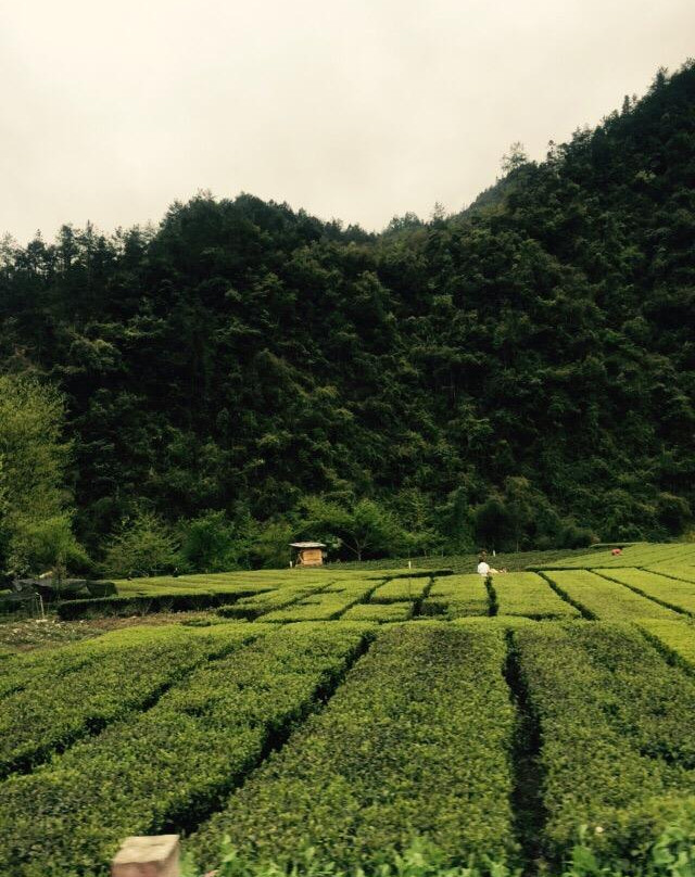 黄金洞-咸丰县必去景点