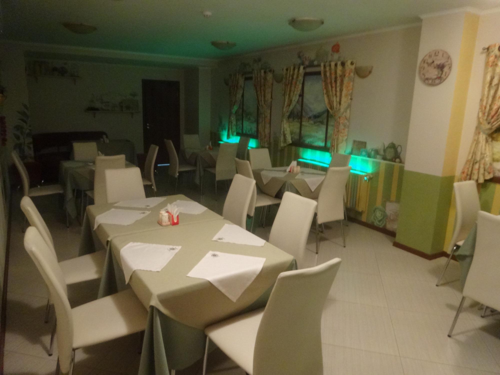 Hotel Almaz-餐饮