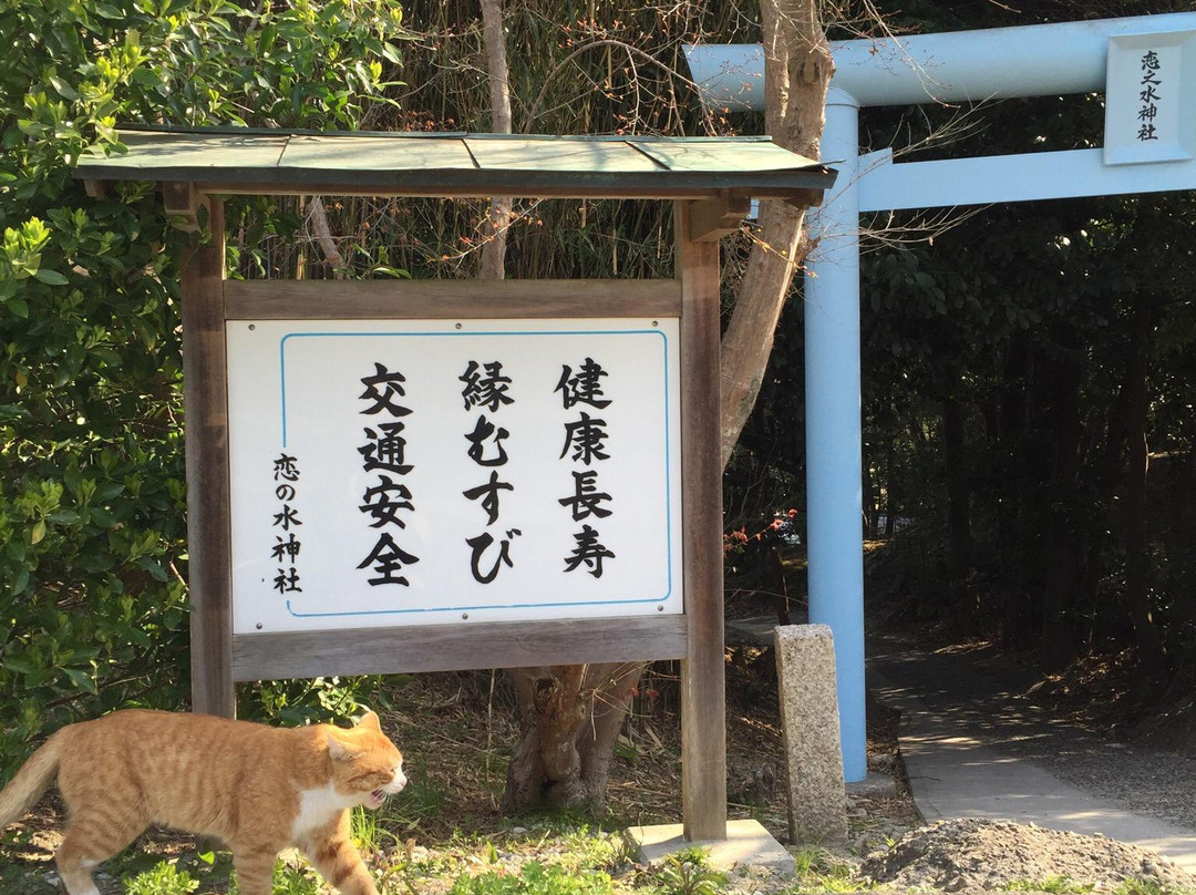 Koinomizu Shrine-美滨町必去景点