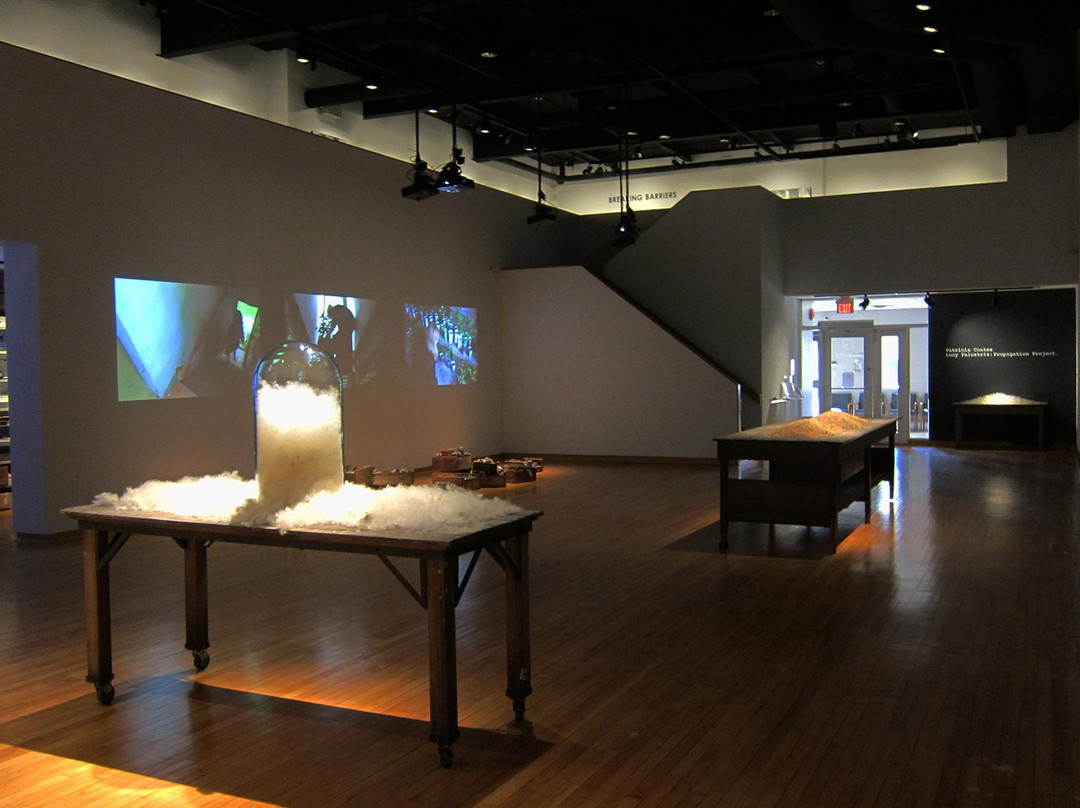 Thames Art Gallery景点图片