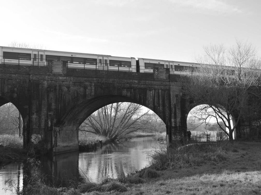 Hambrook Marshes景点图片