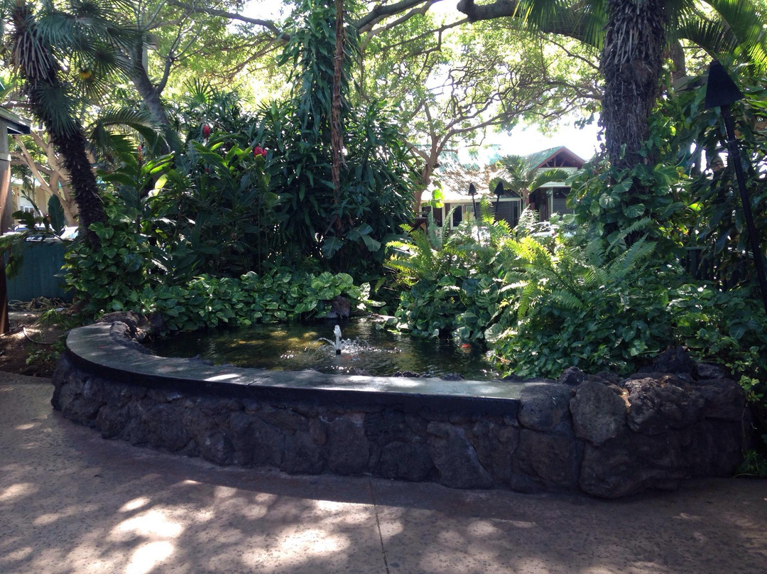 Kihei Kalama Village-基黑必去景点