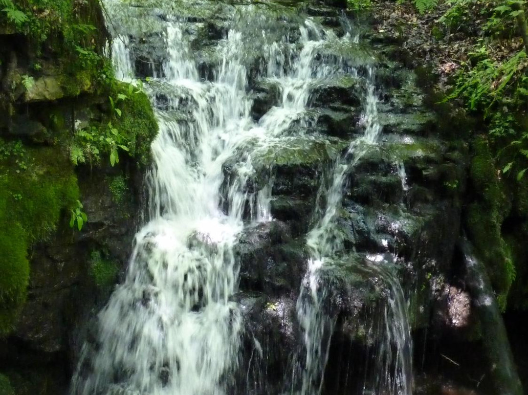 Gorpley Clough  Local Nature Reserve景点图片