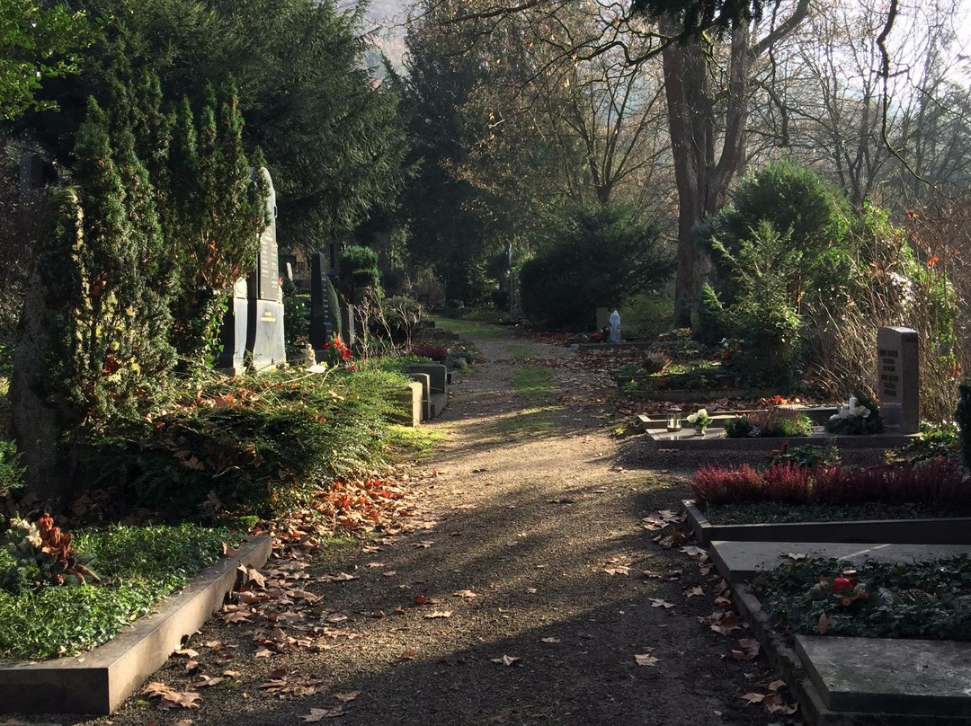 Bergfriedhof Heidelberg景点图片