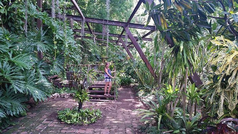 Jardin Botanico de Cupaynicu景点图片