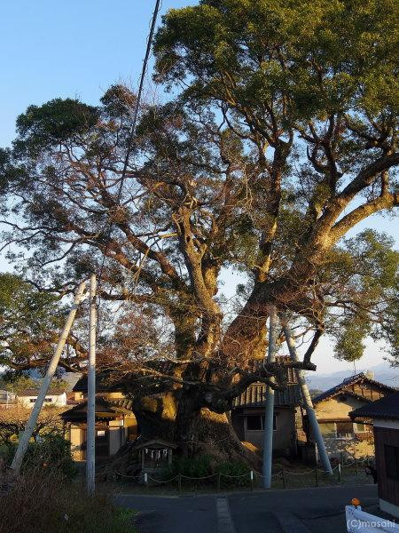 Kakurega no Mori-朝仓市必去景点