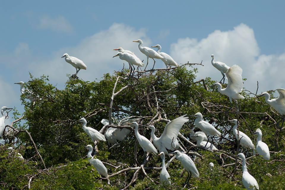 Playas de Catazaja-Catazaja必去景点