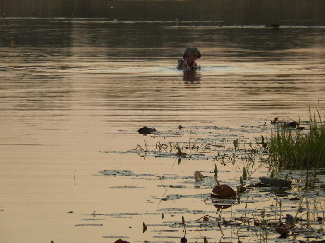 Mare aux Hippopotames景点图片