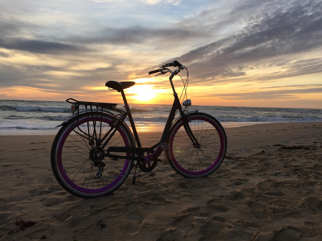 Les Cycles N景点图片