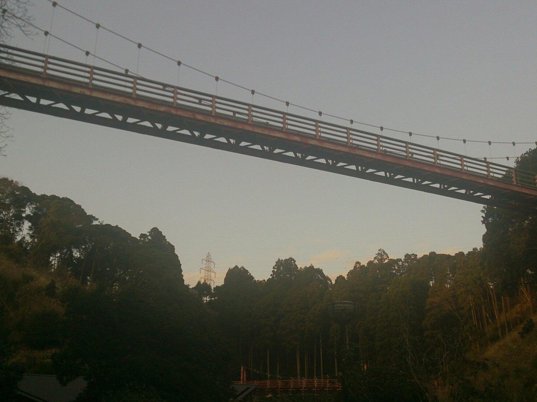 Tsubaki Park-夷隅市必去景点