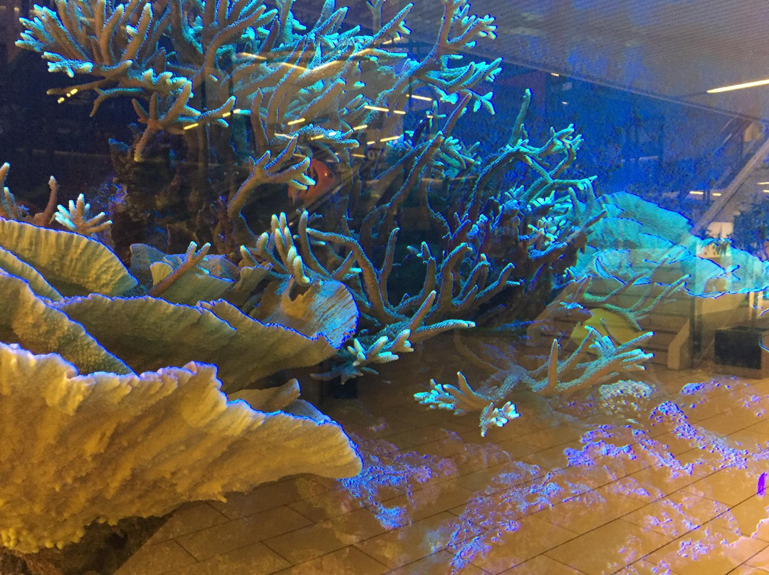 Storcenter Nord-欧胡斯必去景点