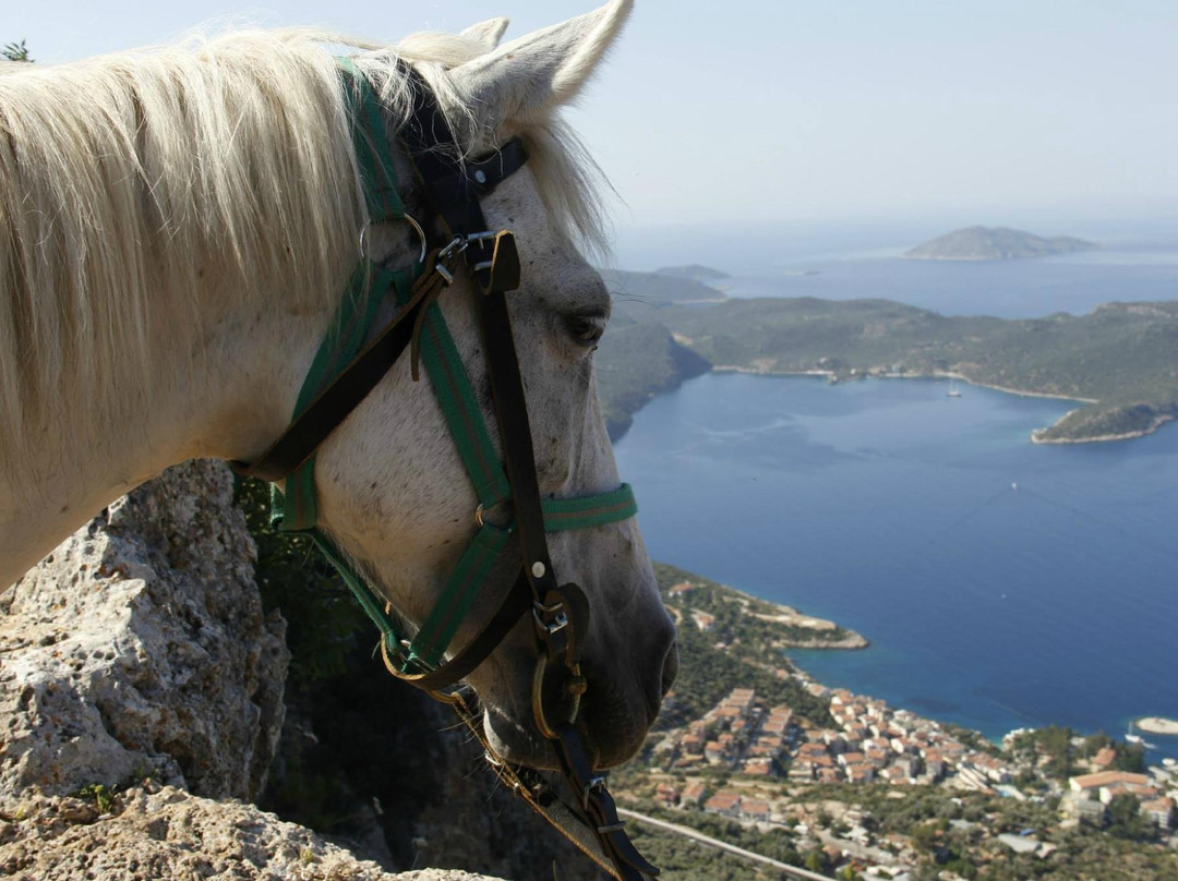 Kas At Ciftligi-卡斯必去景点