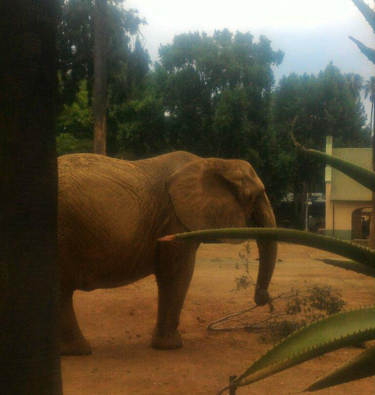 Bester Birds & Animals Zoo Park-比勒陀利亚必去景点