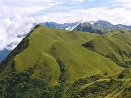 Mukurthi National Park景点图片