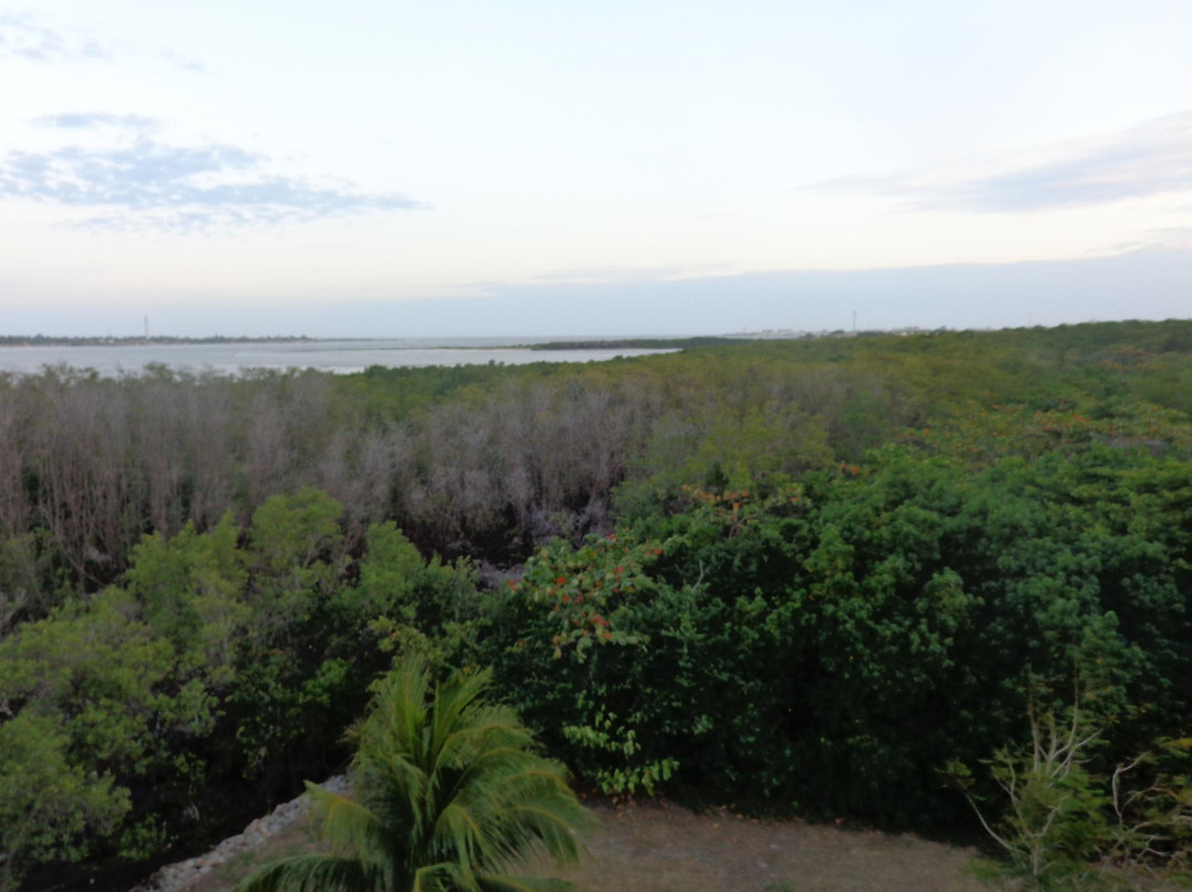 13 de Julho Promenade and viewing tower-阿拉卡茹必去景点