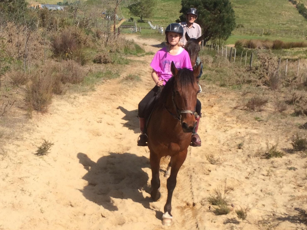 Waipu Horse Adventures-璜加雷必去景点