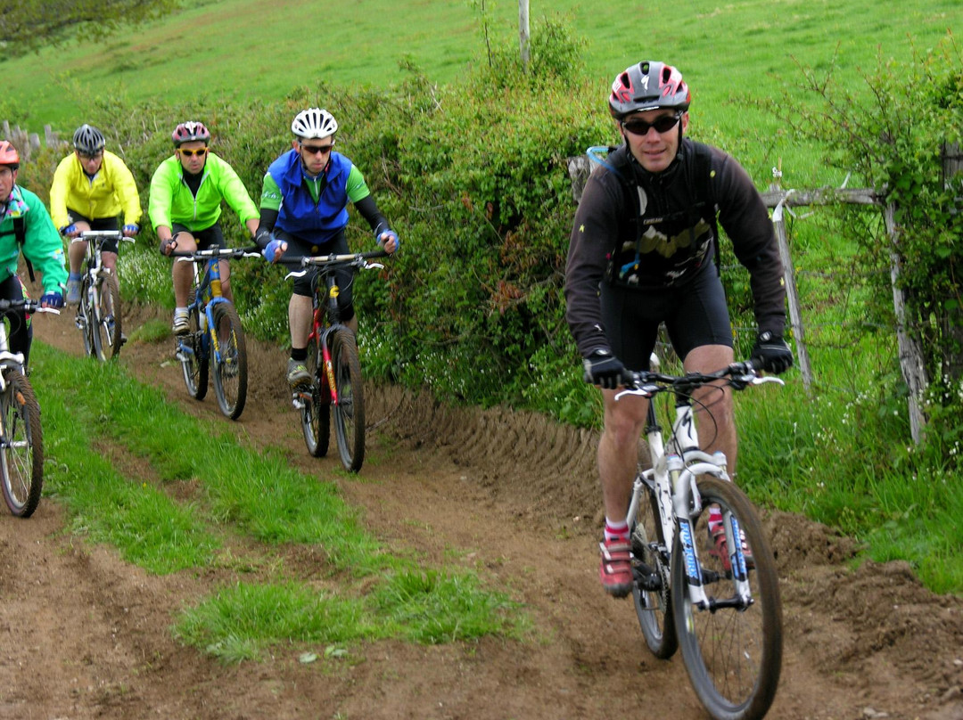 Office de Tourisme Beuvray Val d'Arroux-Etang-sur-Arroux必去景点