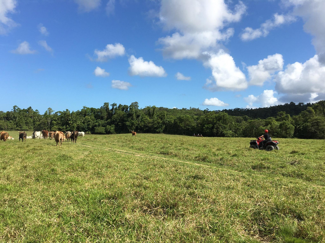 Daintree Station-Whyanbeel必去景点