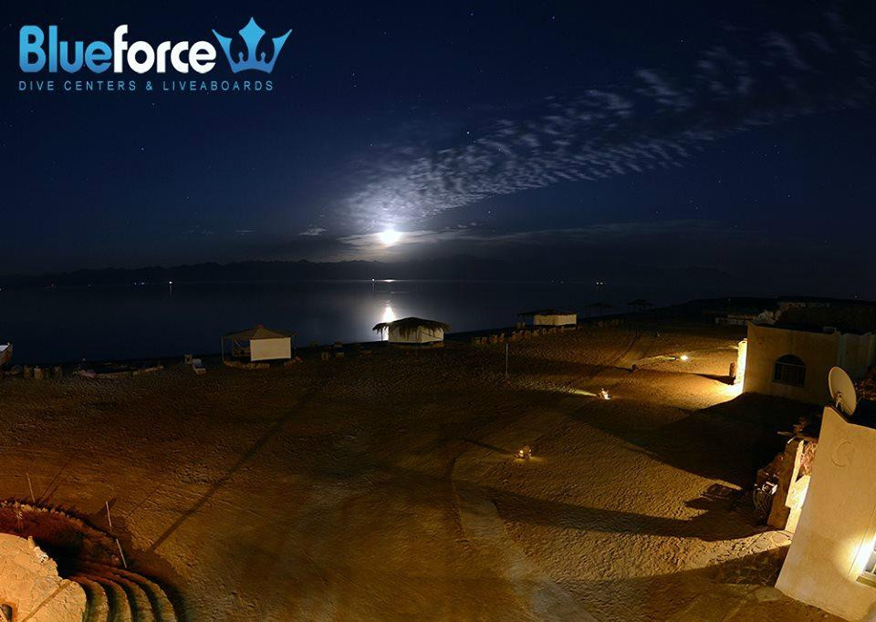 Blueforce Diving Nuweiba-努威巴必去景点