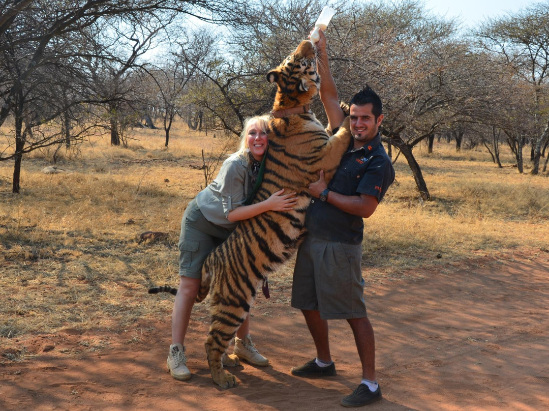 Jugomaro Predator Park-Groblersdal必去景点