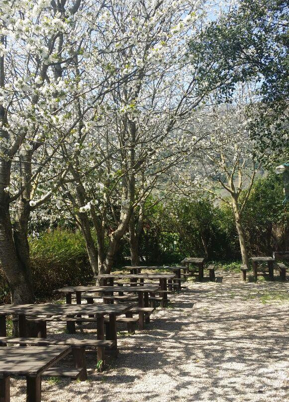 Azienda Il Giardino di Diana-Nemi必去景点