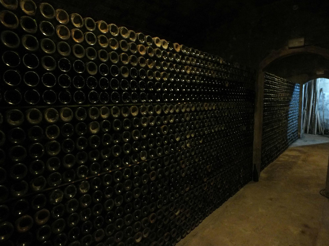Espai Celler Can Pujol-比利亚努埃瓦－赫尔特鲁必去景点