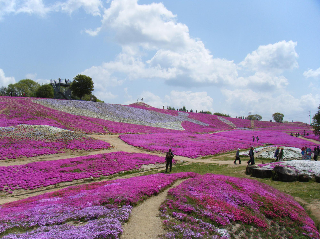Kamu no Sato Rokutan-世罗町必去景点