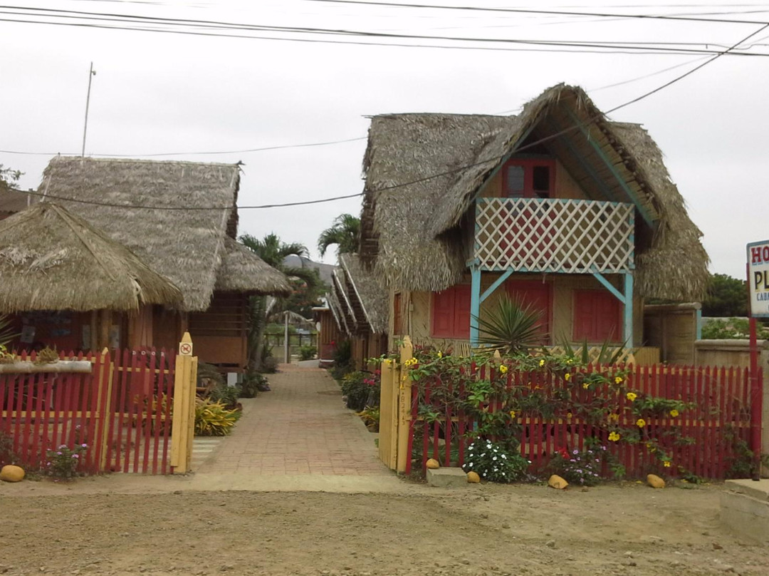 Hosteria Playa Sur主图